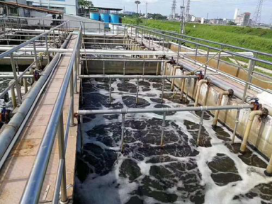 屠宰污水处理设备